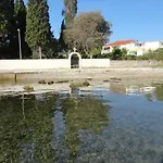 Ana Apartman *